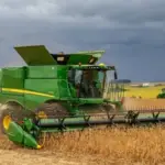 Colapso em Marcelândia: Excesso de chuva e logística precária castigam produtores de soja