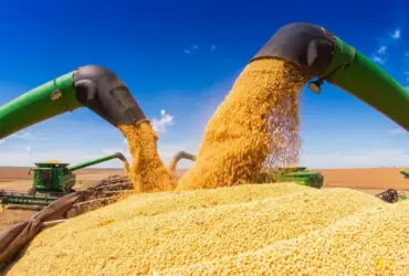 Exportações de soja de Mato Grosso atingem recorde histórico em fevereiro