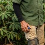 12 trabalhadores são resgatados de condições análogas à escravidão em fazenda de Mato Grosso