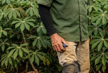 Trabalhador em condições análogas à escravidão