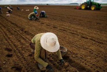 vagas de trabalho em Mato Grosso -CenárioMT
