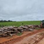 Fazendeiro é multado em R$ 12 mil por estoque de madeira nobre sem procedência em Mato Grosso