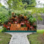 BBB ganha Jardim BBBotânico em homenagem aos participantes “plantas”