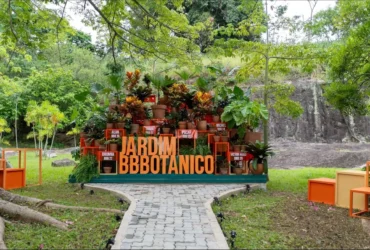 BBB ganha Jardim BBBotânico em homenagem aos participantes “plantas”