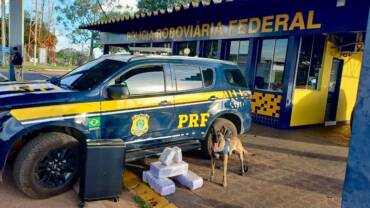 PRF apreende 24 kg de skunk em ônibus na BR-364, em Rondonópolis