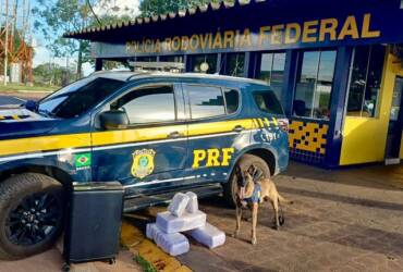 PRF apreende 24 kg de skunk em ônibus na BR-364, em Rondonópolis