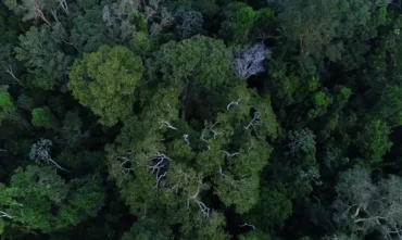 Investimentos do Programa União com Municípios reduzem incêndios na Amazônia
