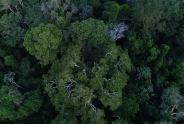 Investimentos do Programa União com Municípios reduzem incêndios na Amazônia