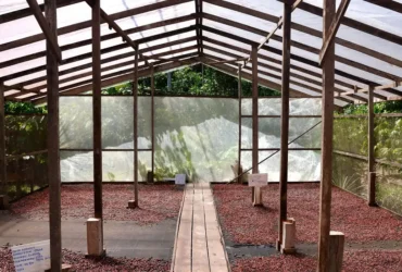 Edital abre inscrições para projetos de inovação na Amazônia com R$ 1,8 milhão