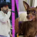 Cachorro de Edson é encontrado morto após uma semana desaparecido