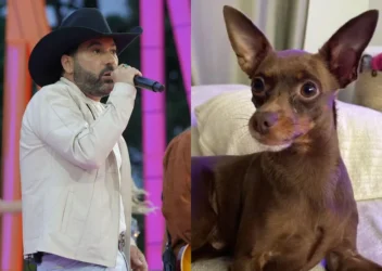 Cachorro de Edson é encontrado morto após uma semana desaparecido