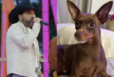 Cachorro de Edson é encontrado morto após uma semana desaparecido