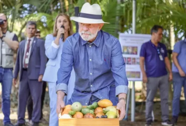Agro brasileiro precisa de qualidade para ampliar exportações, diz Lula
