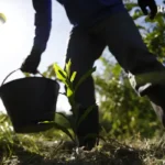 Governo Lança PNDBio para Impulsionar Bioeconomia Nacional até 2035