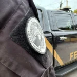 PF apreende mais de duas toneladas de maconha no Paraná em operação na BR-277