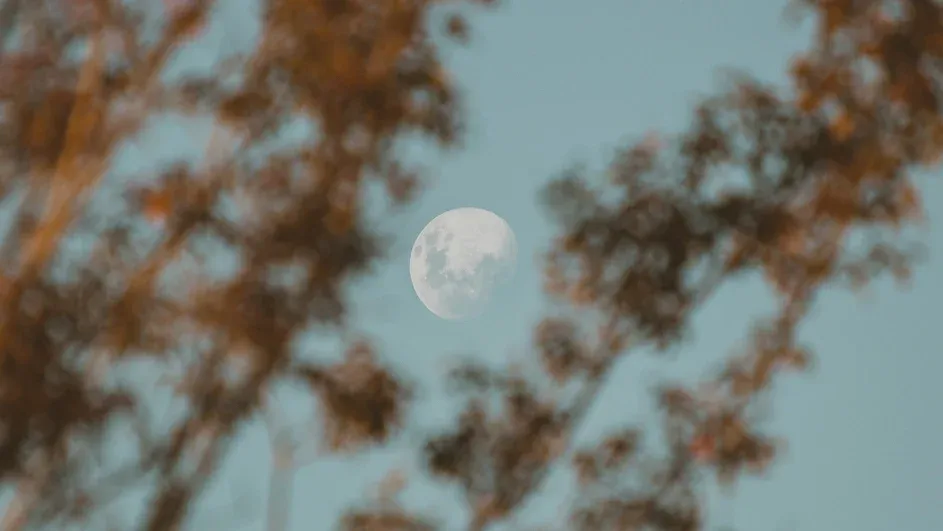 Lua minguante de 2 a 15 de maio de 2026: previsões e energias do período