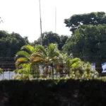 Antissemitismo em debate após condenação de dirigente do PSTU no Brasil