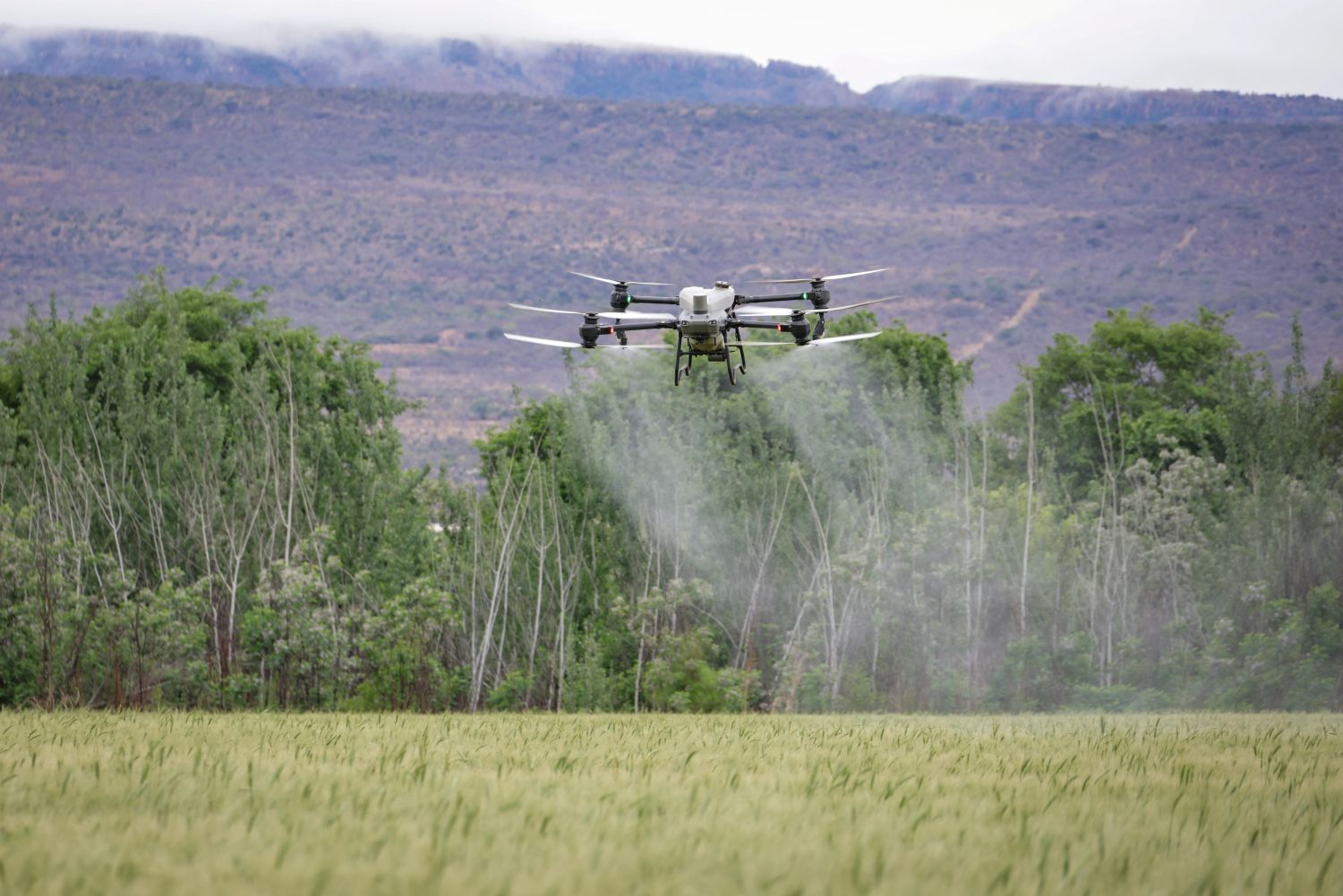 Agricultura digital cresce com apoio de consórcios estruturados Divulgação (2)