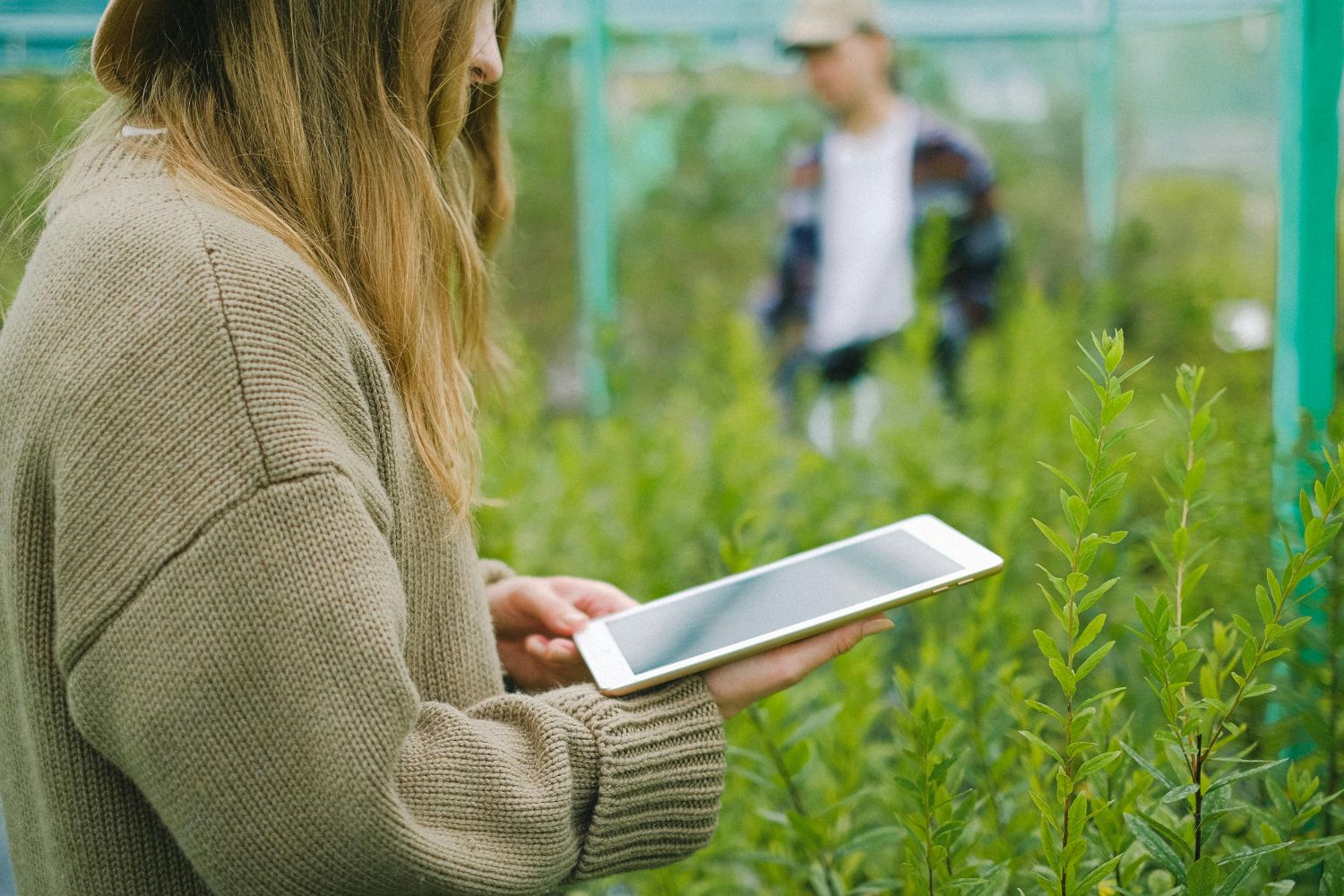 Agricultura digital cresce com apoio de consórcios estruturados Divulgação (3)