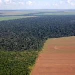 Aprosoja MT alerta para risco jurídico em uso de dados ambientais como critério para crédito rural