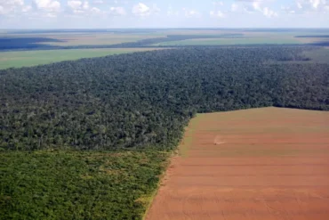 Aprosoja MT alerta para risco jurídico em uso de dados ambientais como critério para crédito rural