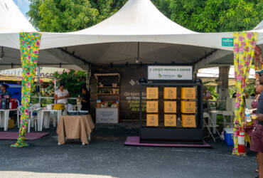 Aprosoja MT mostra usos do milho além da culinária no 7º Festival da Pamonha