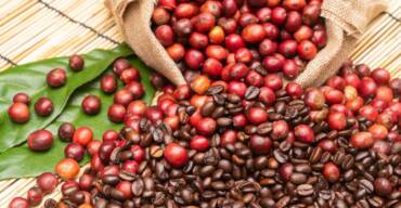 Arábica sobe e robusta recua mercado de café tem março de movimentos opostos