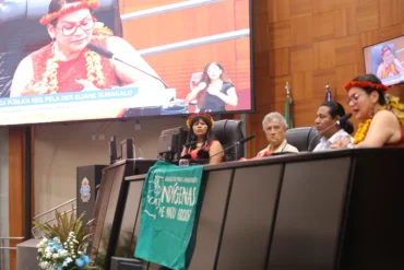 Economiaindigena: ALMT debate economia indígena em MT