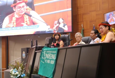 Economiaindigena: ALMT debate economia indígena em MT