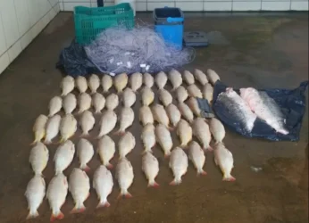 Homem é preso por transporte de pescado irregular em MT