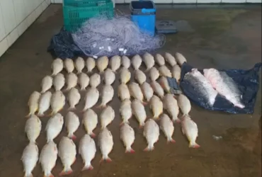 Homem é preso por transporte de pescado irregular em MT