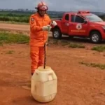 Cobra caninana é resgatada por bombeiros em empresa agrícola