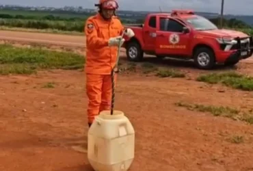 Cobra caninana é resgatada por bombeiros em empresa agrícola
