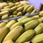 Safra avança, nanica recua e prata sobe: mercado da banana muda de ritmo no país