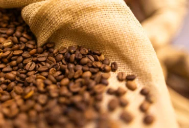 CNA debate renovação de linha de crédito para cafezais danificados