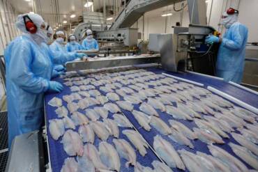 Exportações da piscicultura caem no início de 2026, mas sinalizam recuperação após ajuste de tarifas