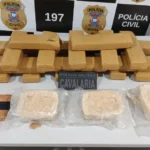 Operação Força Total: Cavalaria da PM apreende 23 kg de drogas após perseguição em Matupá