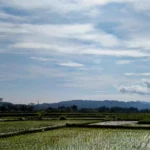 Clima em Mato Grosso: calor e pancadas de chuva marcam a terça-feira (28/04); veja alerta para o agro