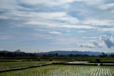 Clima no Brasil: instabilidade avança com chuvas intensas e variações de temperatura nas regiões produtoras