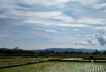 Clima no Brasil: instabilidade avança com chuvas intensas e variações de temperatura nas regiões produtoras