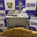 Companhia Raio desarticula depósito de facção e apreende 30 tabletes de drogas em Confresa