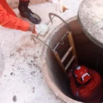 Bombeiros realizam resgates de jacaré, serpente e gato em três cidades de Mato Grosso