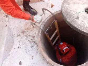 Corpo de Bombeiros atua em ocorrências com animais silvestres e domésticos em MT