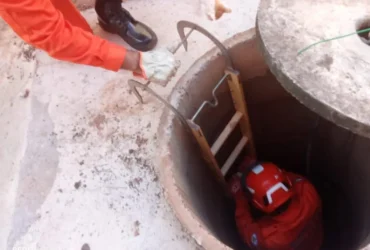 Corpo de Bombeiros atua em ocorrências com animais silvestres e domésticos em MT