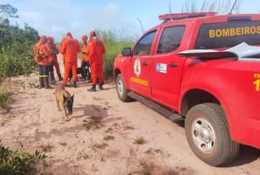 Homem desaparecido em área de mata em Paranatinga mobiliza buscas