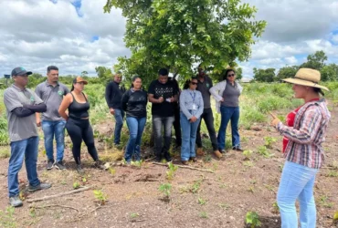 Cursos técnicos em agronegócio ampliam vagas em Mato Grosso