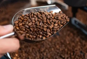 Exportações de café recuam na safra 2025 26 e refletem oferta restrita no Brasil