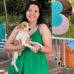 Feira de adoção