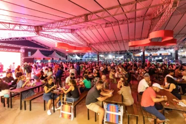 Festival do Baguncinha