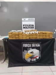 47 tabletes de maconha em pilha feita pela força tática da PM